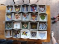 150627ullekendag (136) (800x533)