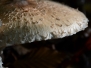 Herfst 2012