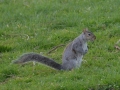 london-2013-37