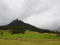 20170725 - Vakantie 2017 in Weer Oostenrijk - Hinterhorn alm en Umlberg - wandeling camping met Petra (een Gems) (15)