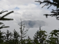 20170725 - Vakantie 2017 in Weer Oostenrijk - Hinterhorn alm en Umlberg - wandeling camping met Petra (een Gems) (4)