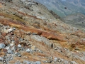 20170801 - Vakantie 2017 in Weer Oostenrijk - Stubaital Gletscher op 3210 mtr hoogte (berg, ijsgrot en wandelen) (47)