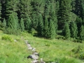 20170804 - Vakantie 2017 in Weer Oostenrijk - Zillertaler Alpen - 3 hutten route - stuwdam - 15 km, 5,5 uur effectief wandelen, 7 uur onderweg (21)