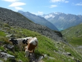 20170804 - Vakantie 2017 in Weer Oostenrijk - Zillertaler Alpen - 3 hutten route - stuwdam - 15 km, 5,5 uur effectief wandelen, 7 uur onderweg (55)