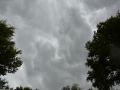 overijssel-2012-2013-22