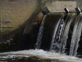 overijssel-2012-2013-23