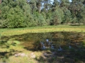 overijssel-2012-2013-29