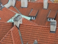 Zomervakantie Tsjechie 2014 (147) - Tour Praag - Vanuit Burcht - Daken