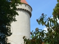 Zomervakantie Tsjechie 2014 (253) - burcht Konopiste