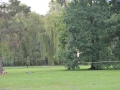 Zomervakantie Tsjechie 2014 (775) - Tour13 - Stromovkapark