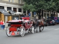 Zomervakantie Tsjechie 2014 (84) - Tour Praag - Duurste straat