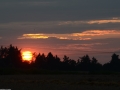 Zomervakantie Tsjechie 2014 (926) - Ondergaande zon vanaf camping ri Praag