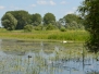Uiterwaarden Kekerdom