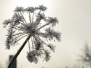 Winter 2012