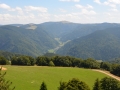 Vakantie 2015 - Zwarte Woud Duitsland (23)