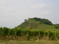 Vakantie 2015 - Zwarte Woud Duitsland (29) - Ruine Staufen