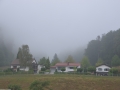 Vakantie 2015 - Zwarte Woud Duitsland (31) - Münstertal
