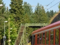Vakantie 2015 - Zwarte Woud Duitsland (48) - Schlössersee