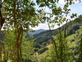Vakantie 2015 - Zwarte Woud Duitsland (5)